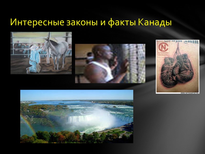 Интересные законы и факты Канады